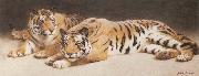 John Charles Dollman Two Wild Tigers USA oil painting artist